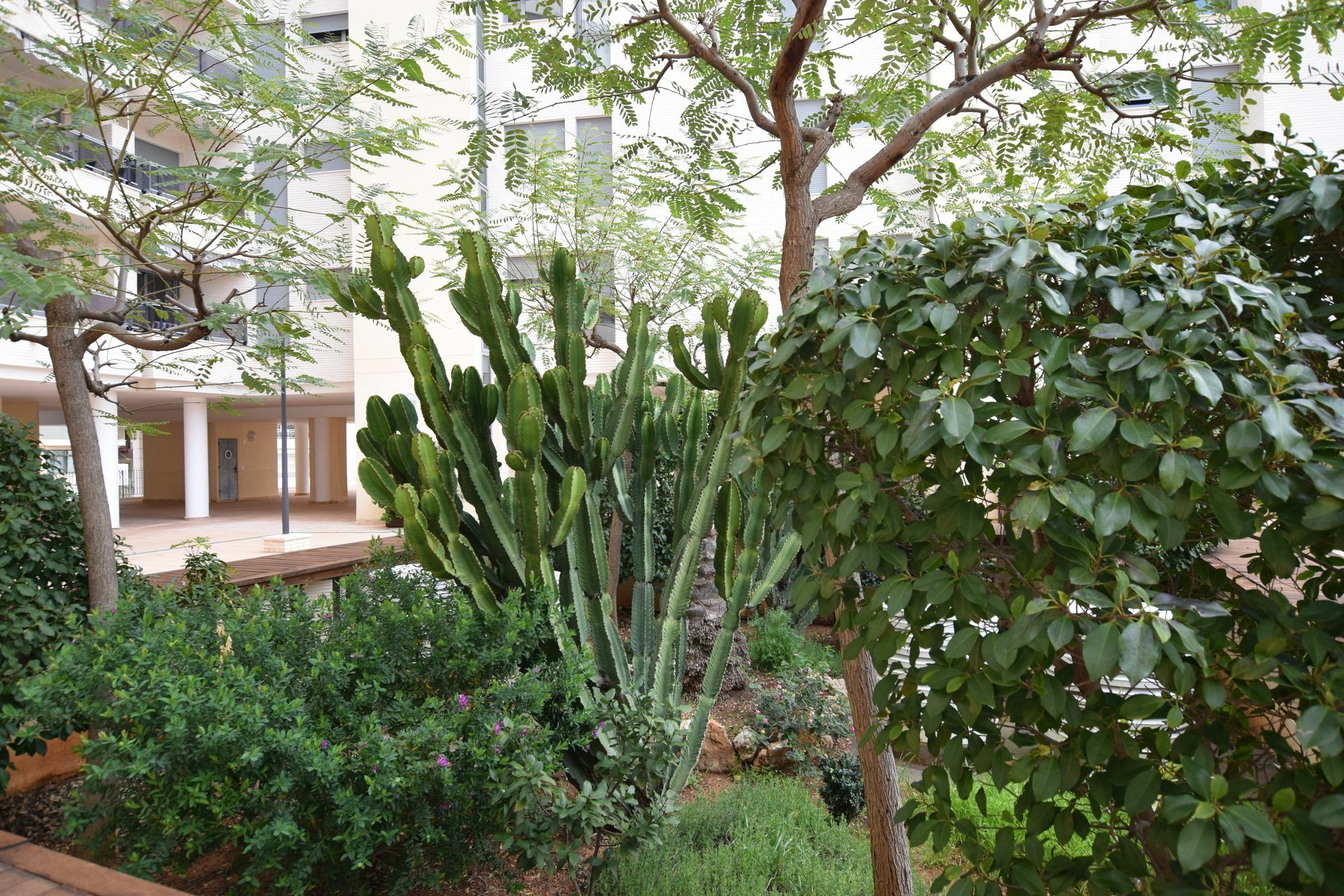 Plaza Mayor 2 bedroom Apartment Calpe Exterior foto